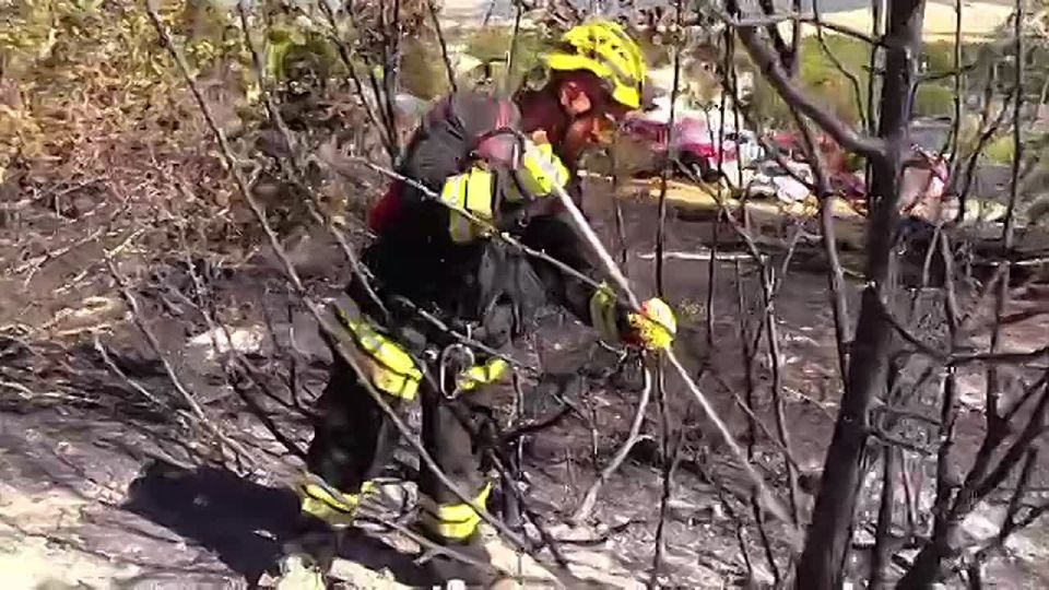 ������� ������� ������ � ������ �������� ������� ���������� ��������������� ���������