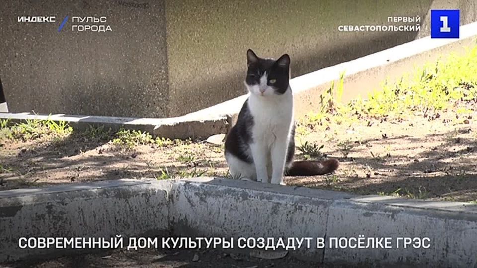 � ������ ���� �� ���� ������������ ���� �������� �������� ����������� ����� ������