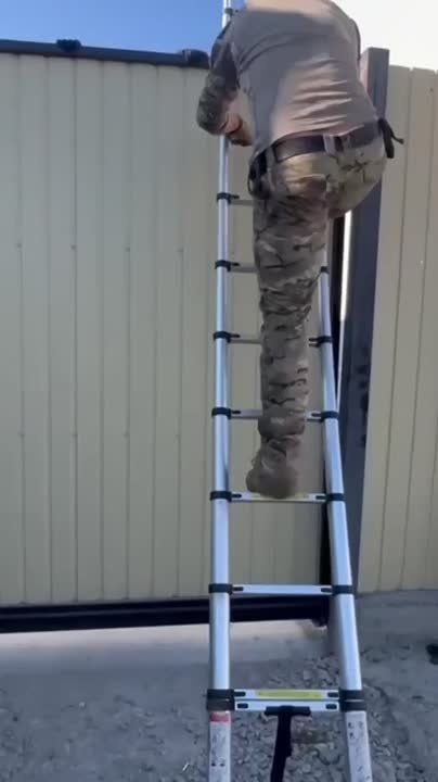 � ����� ��������� ������������ ������ �� ����������� ��������������� ����������� � ���