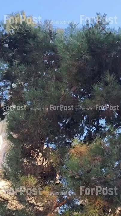 ���������� ����� � �������� ������