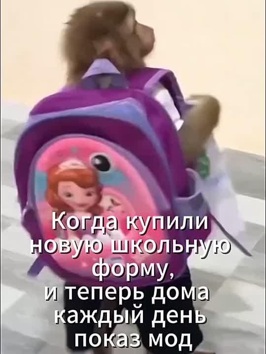 ����� � �����: ��� ������� �����, �������� � �������� �����
