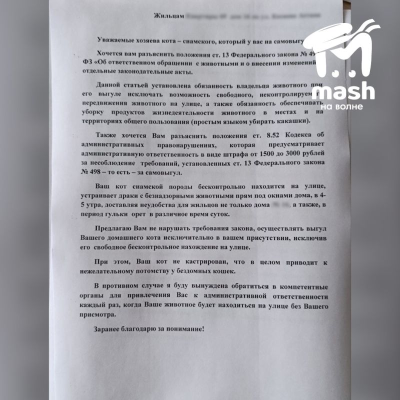 Севастопольскую пятиэтажку терроризирует токсичный кот