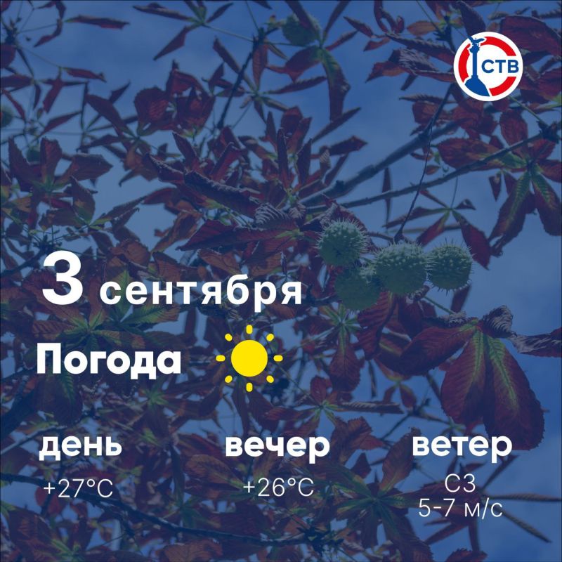 ������ ����, �������������! �������, 3 ��������, � ������ ����