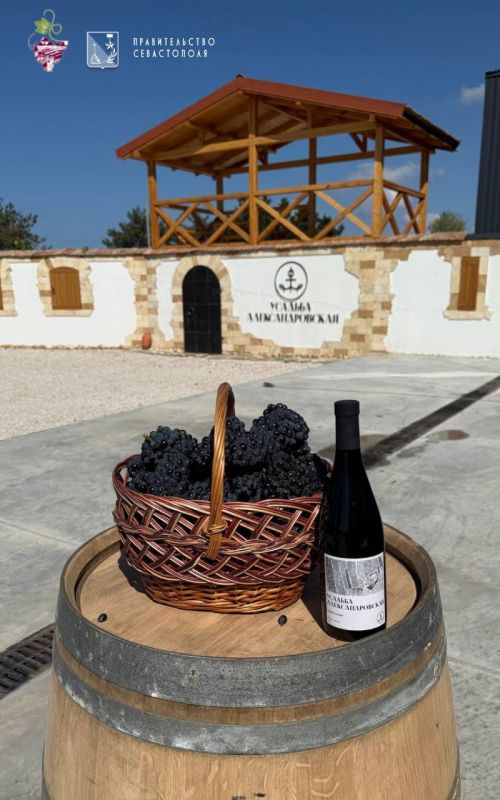 &quot; &quot; -       &quot; &quot;!