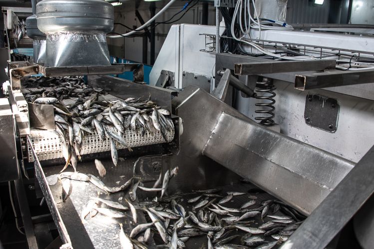 � ����������� ���������� � ������ ���������� �� ��������� ����������� ������������������ ���������