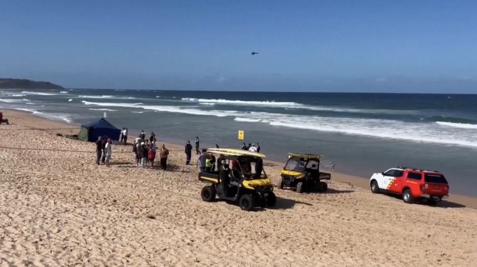 Сёрфер стал жертвой акулы у побережья Австралии