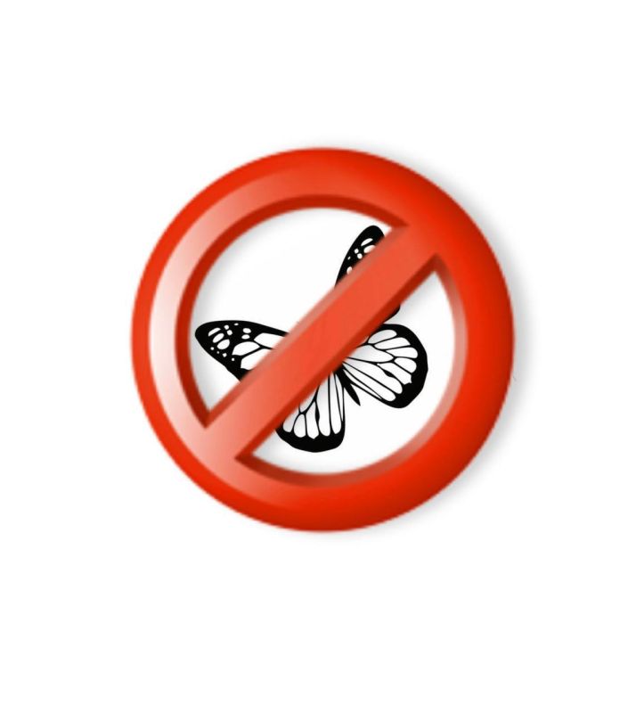 В Севастополе продолжается обработка деревьев от американской белой бабочки