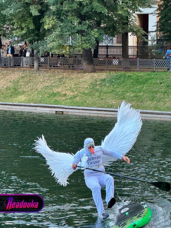 «Пруд для лебедей, а не бл**ей» — пернатого москвича задержали на Патриарших прудах