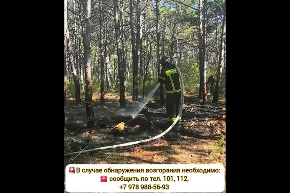 �� ���������� ������ ����������� ���������� ����������� ������ ��������������� �����!