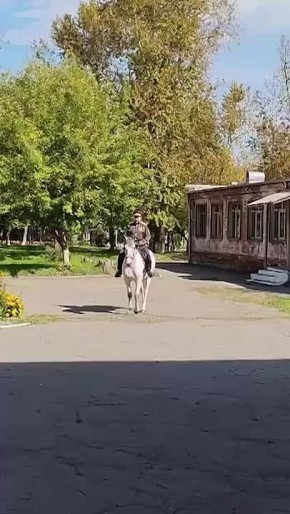   :       ,         