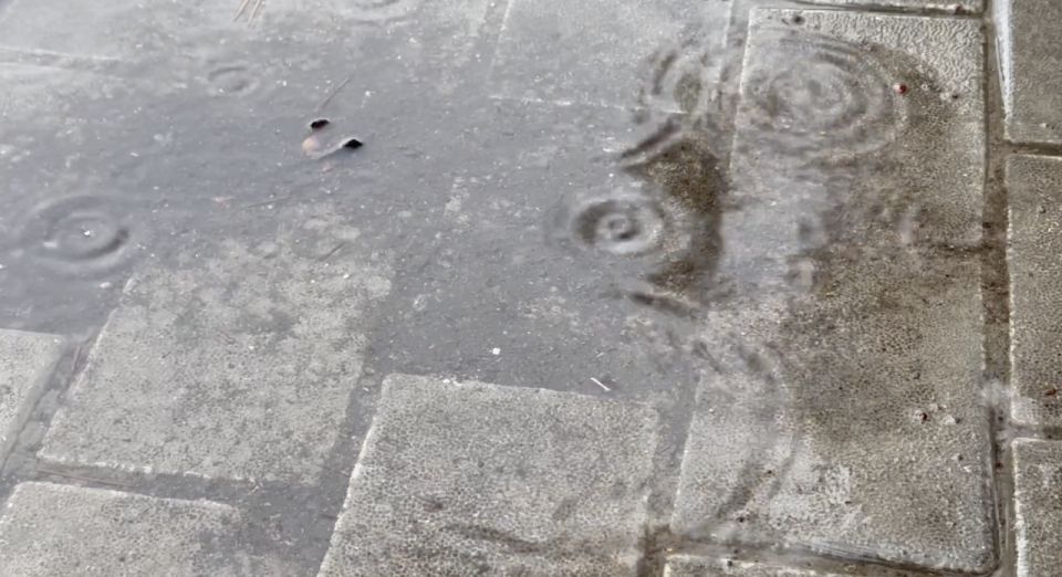 Жителей Севастополя предупредили об усилении дождя