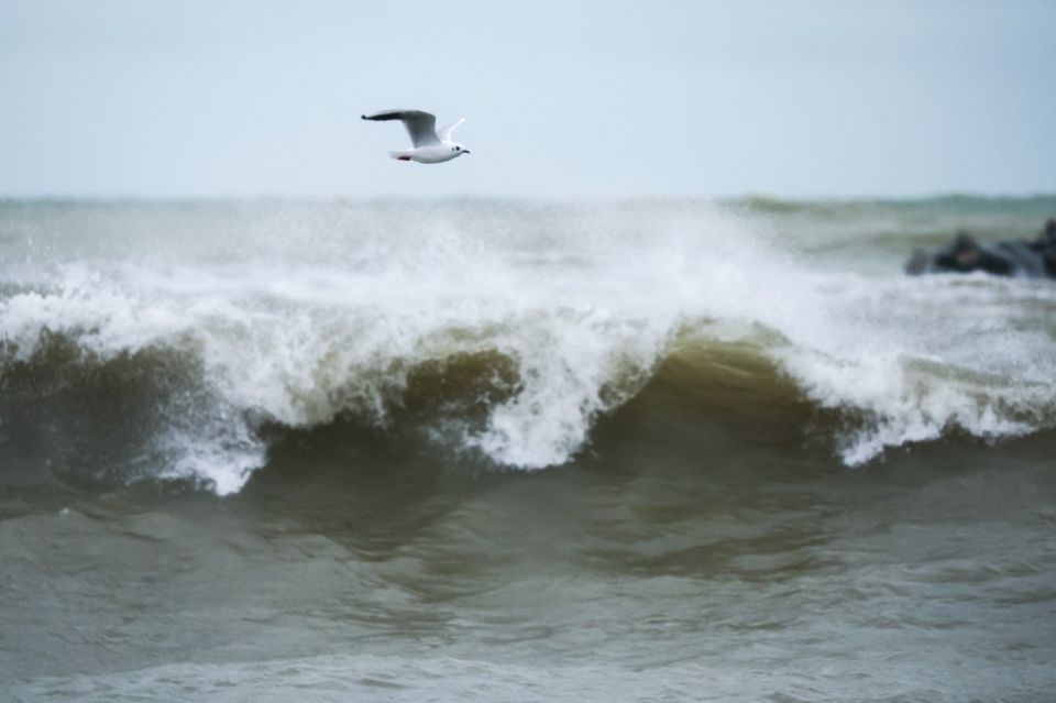 В Крыму объявлены три штормовых предупреждения
