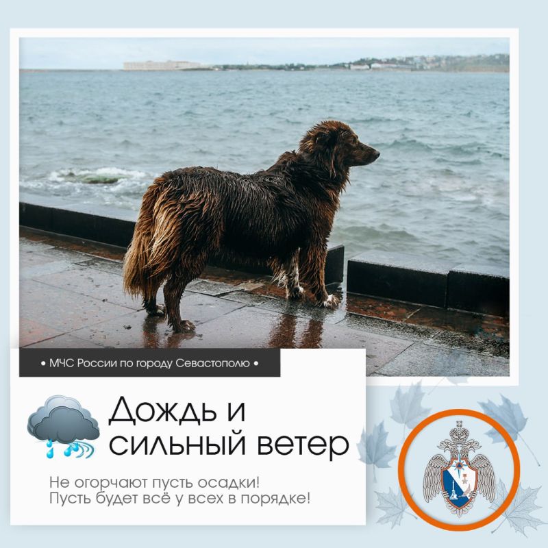  , !.   , 18     