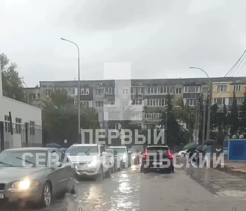 ��� �������� ������ ����� ����� � �������� ����� ����� ��������