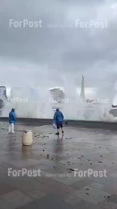 �������. ������ �� �������