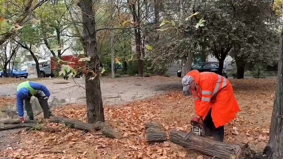  :       :