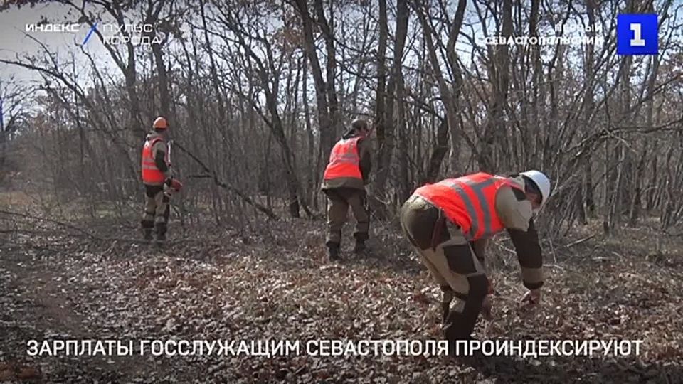 � 1 ������� � ����������� �������������� �������� �����������