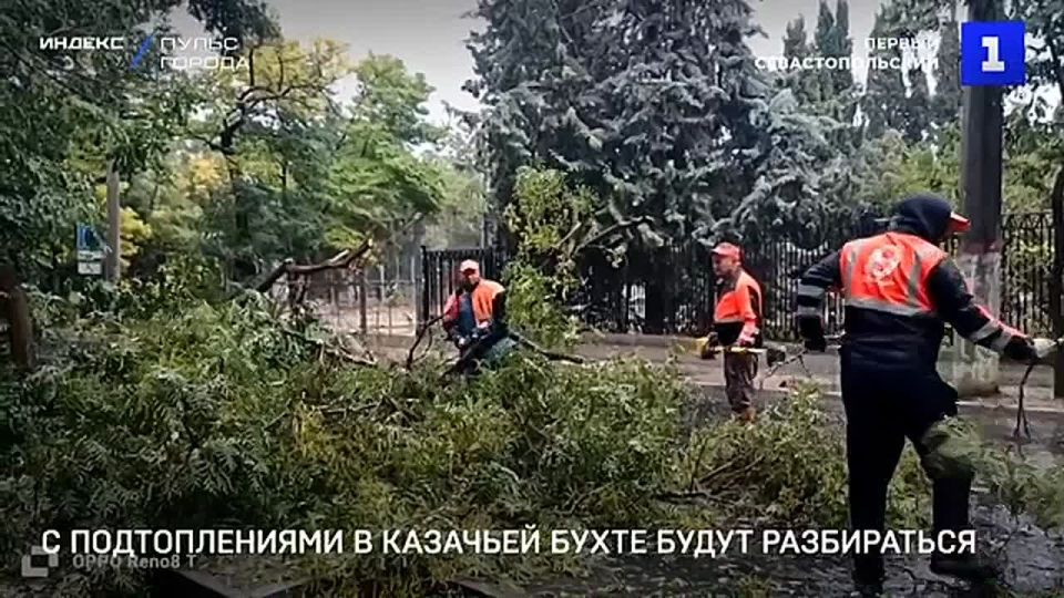 � ��������� ����������� � �������� ����� ����� �����������