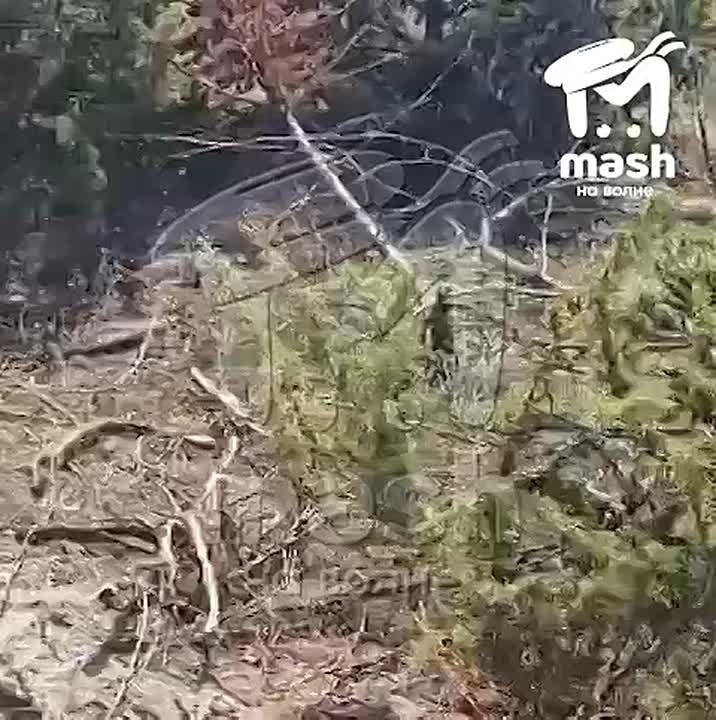 -     