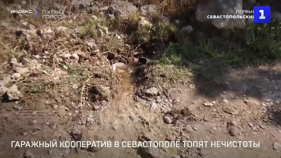 �������� ���������� � �������� ������ � ������ ���������� ����� ����� ������ ����� ���������