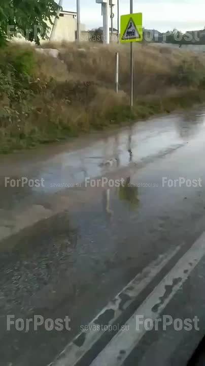 ������ ������������� ����� � ������ ��������������� ����� � ���������� ��������� ����������� �����