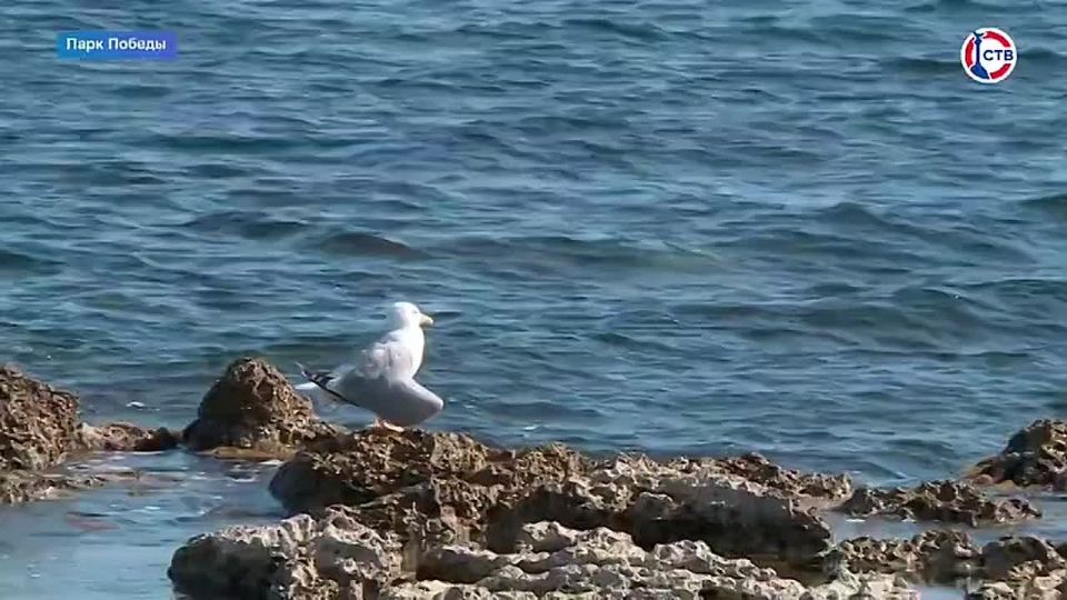 � ����������� ������ ��������� ��������� ��������� ����� ������