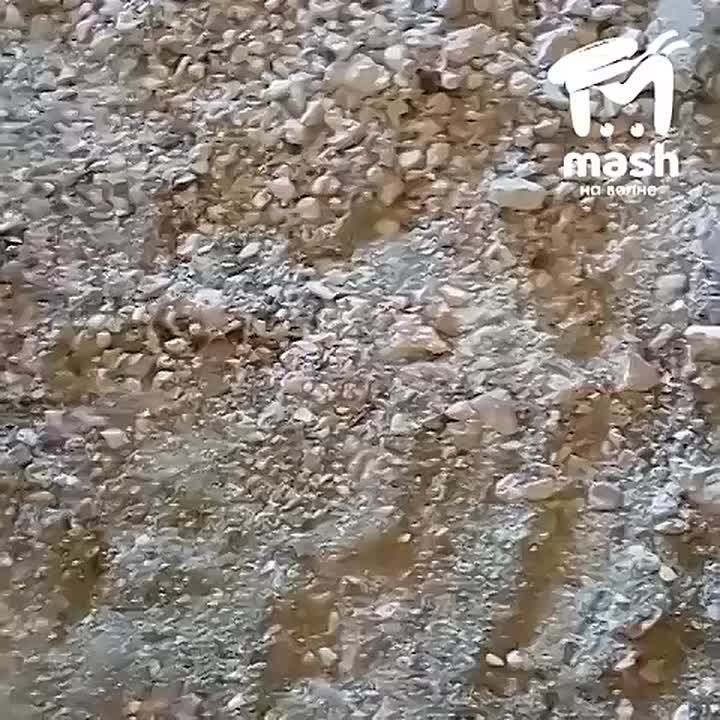   &quot;&quot;         