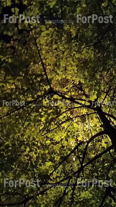 �������� ������� ��� �� ������� ������� � ����� �������