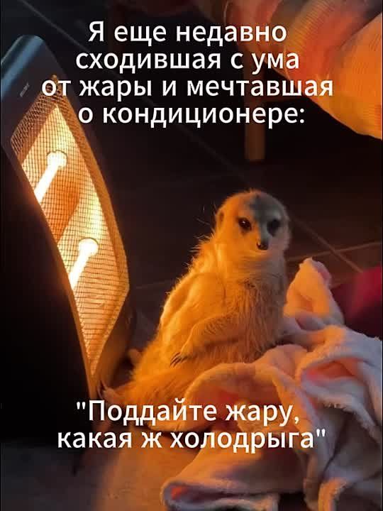 ����������� ��������� � ������������ ������������� ������