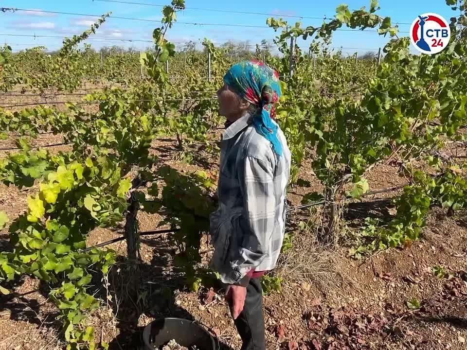 ���������� ����������� ����� 60 ��� �������� �� ������������� �������