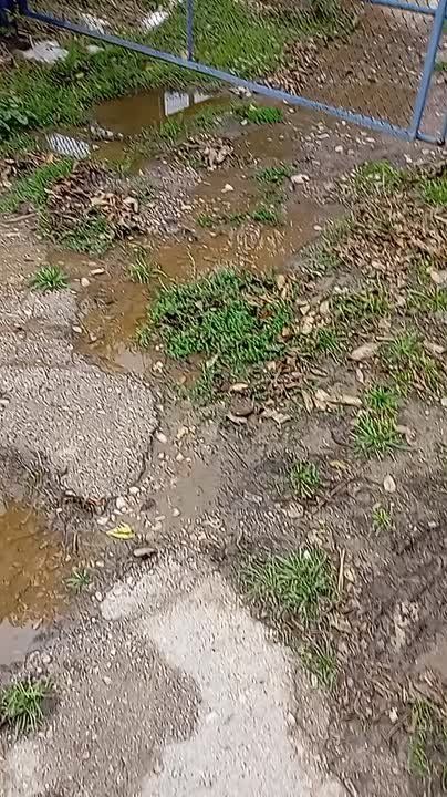 #_.        ...  ? ForPost