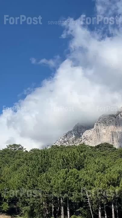   ,   ,           