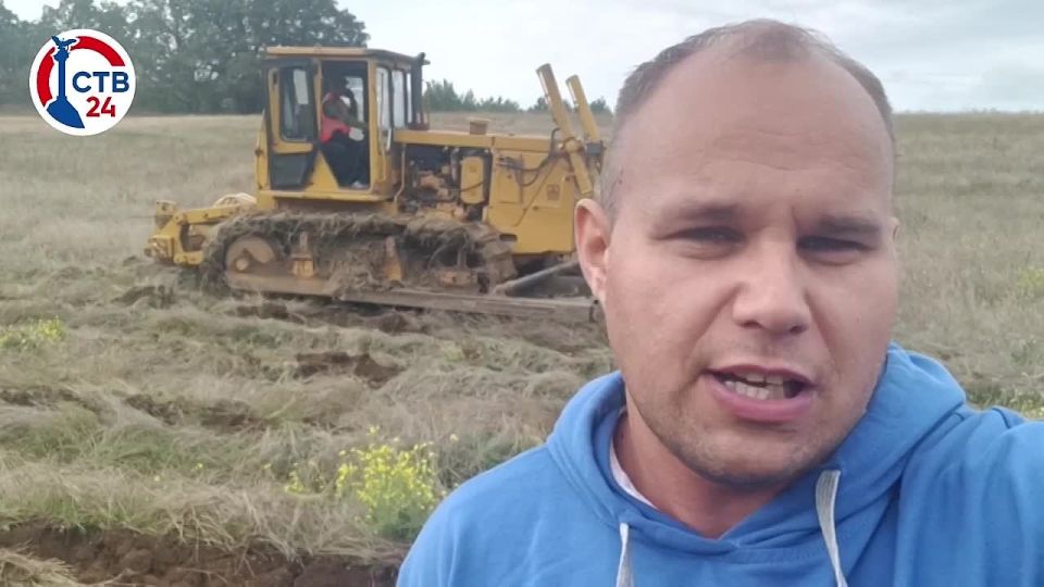 Территорию Мекензиевского лесничества готовят к высадке молодого леса