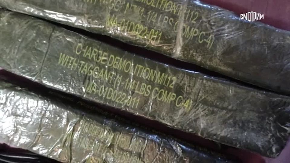 Мужчина, задержанный в Крыму, собирал сведения об объектах ВС РФ и транспортной инфраструктуры с целью совершения терактов, сообщили в УФСБ России по Республике Крым и городу Севастополю