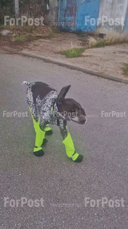 Просто вышел прогуляться. И да, штаны выбирал сам