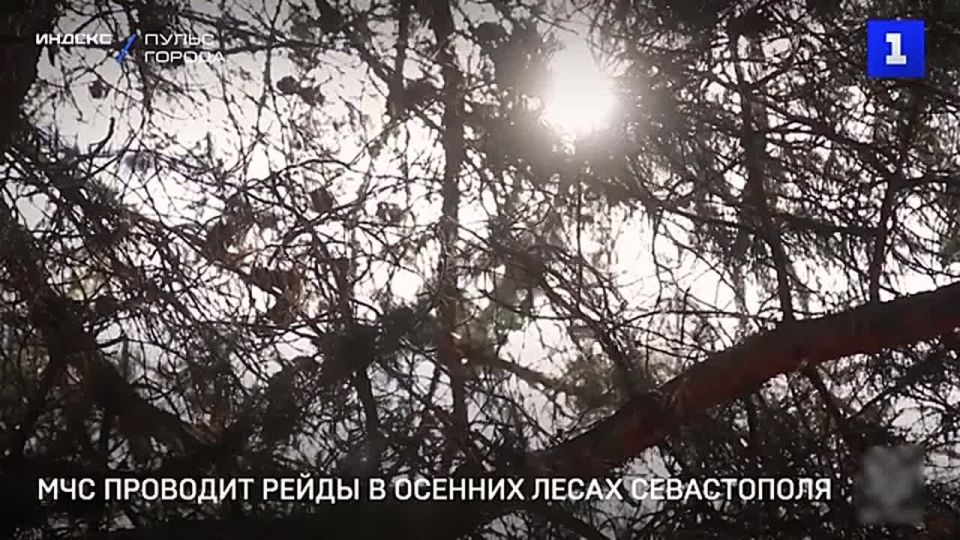Сотрудники МЧС и Мекензиевского лесничества провели рейды в лесах, чтобы напомнить севастопольцам о пожарной безопасности