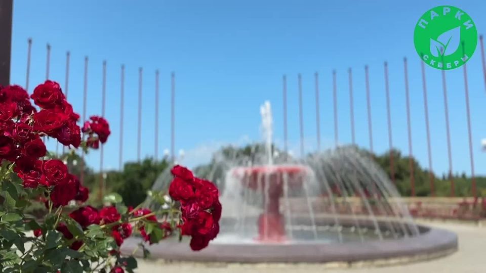 «Парки и скверы» поделились кадрами финальных дней работы севастопольских фонтанов