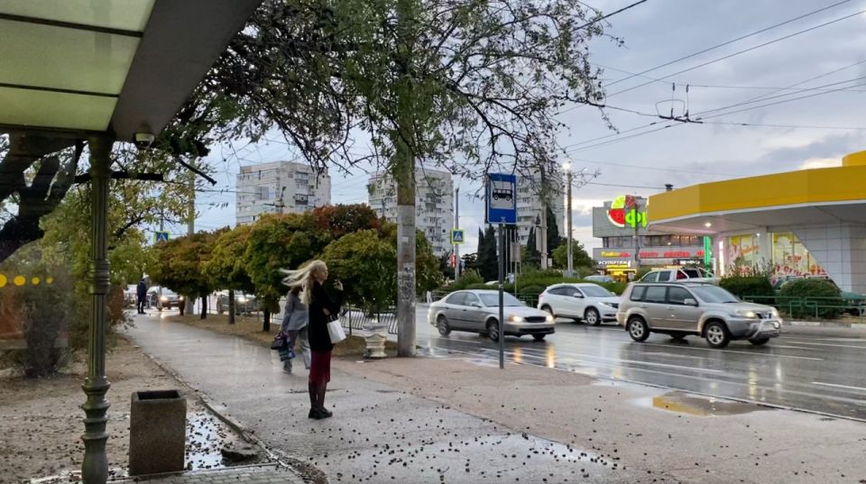 10 октября в Севастополе ожидается сильный ветер