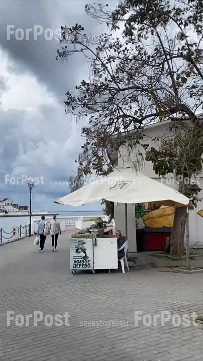 В Артбухте начнут снос зданий: первой под ковш пойдет бывшая чебуречная между аквариумом и дельфинарием
