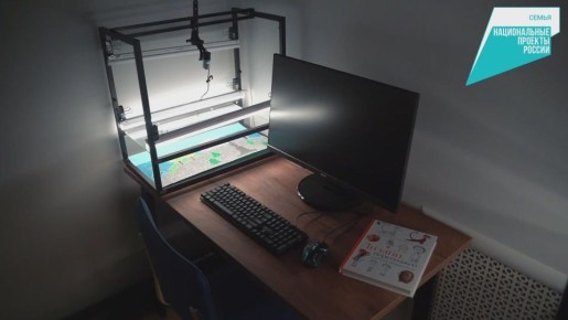  : -  11  . .      , 27    