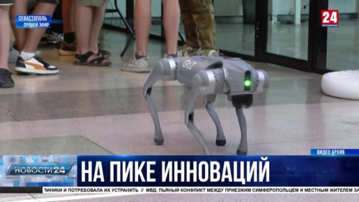 IT-   