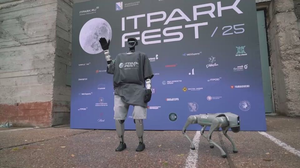  : ITPARK FEST 2025:     -