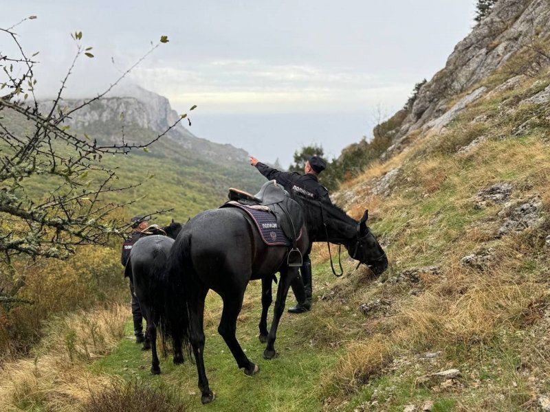 Сотрудники Дирекции ООПТ и лесного хозяйства и полиция провели патруль в заказнике «Ласпи»