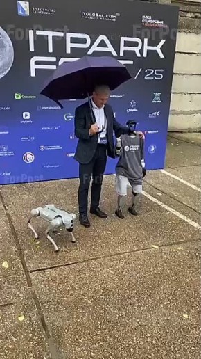       ITPARK FEST 2025