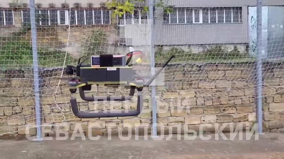          7-   ITPARK FEST 2025