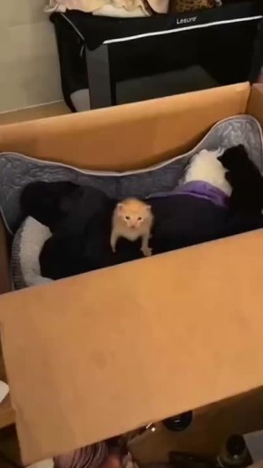      :  