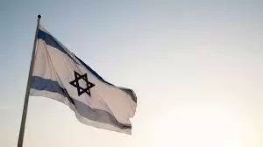     :  
