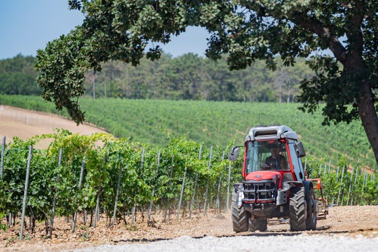 850 миллионов рублей выделили сельскохозяйственным предприятиям Севастополя в 2024 году