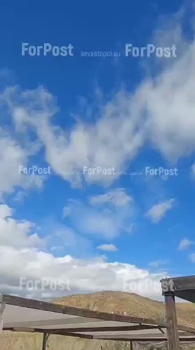 Журавли летят в Китай?. Птицы собираются в стаи, чтобы покинуть Крымский полуостров