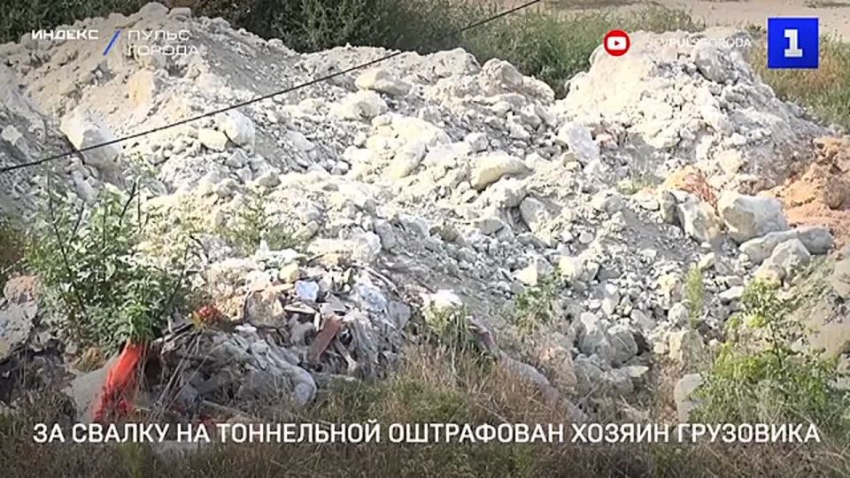 Штрафом 40 тыс. руб. и требованием возместить ущерб окружающей среде свыше 200 тыс